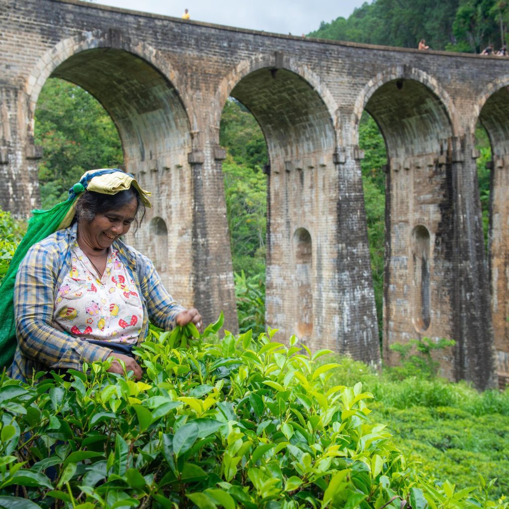 Best time to visit sri lanka